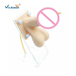 condom sex doll Condom Kingdom main image 1