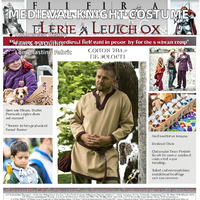 Costume de Chevalier Médiéval Vert pour Homme - Tunique Normande, Tresse de Chevalier, Pirate, Saxon, Haut LARP, Déguisement de Personnage TV pour Adultes