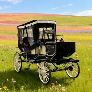 Nueva luz a juego de colores <span class=keywords><strong>en</strong></span> blanco y negro, turismo de lujo, carruaje tirado por caballos, carruaje Royal Sightseeing Victoria con dosel - Product Image 3