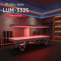 Système de lit à lumière rouge Magique Power LUM3325 633 660 850nm 940 1060nm LED pour couverture corporelle complète à usage domestique