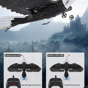 Mô hình máy bay điều khiển từ xa Eagle bán chạy, cánh cố định, mô hình động vật bay bằng cánh quay, làm từ <span class=keywords><strong>x</strong></span>ốp EPP, dành cho trẻ em - Product Image 5