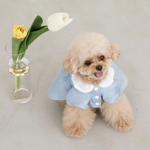 <strong>Dog</strong> Dresses Blue Spring Fashion Frocks Cowboy Short Sleeve Dresses Button Down <strong>Dog</strong> <strong>Dressing</strong> <strong>Gowns</strong> - Product Image 6