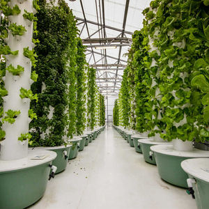 Skyplant ระบบปลูกต้นไม้แนวตั้งระบบไฮโดรโปนิกส์รดน้ำอัตโนมัติแบบไฮโดรโปนิกส์ทาวเวอร์ - Product Image 2