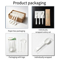 Couteau à steak jetable de luxe Hengyuan Pure White, en plastique épais et renforcé