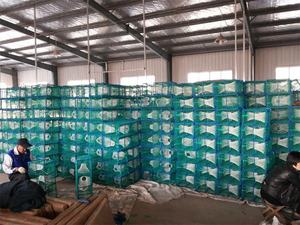 Perangkap Lobster ikan Norwegia Inggris Eropa perangkap ikan tugas berat pancing Lobster kepiting biru perangkap akuakultur untuk udang ikan - Product Image 3