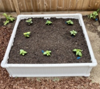 Usine directe moderne Texture bois Style HDPE 4 FT carré jardinière pour extérieur légume fleur herbe plantation