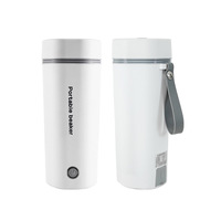 Bouilloire électrique Portable, tasse intelligente, bouteille thermique isolée, Thermos pour chauffe-eau, Pot électrique 220V 110V