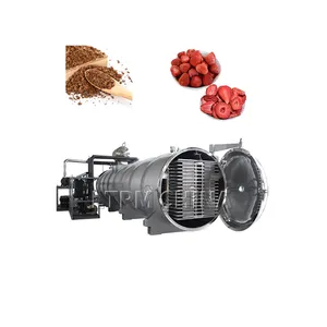 LTDG-Series Strawberry Blueberry Vacuum Freeze Dry Machine With High Efficient Freeze Dryer