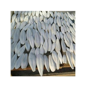 Origen de Vietnam precio al por mayor hueso de sepia seco Natural secado al sol suministro de hueso de sepia a granel - Product Image 5