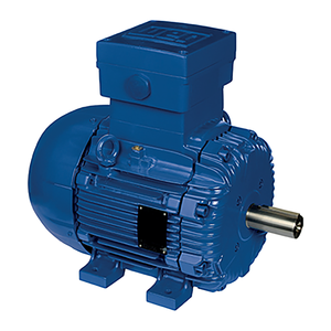Moteur Weg W21 3Kw 7.5Kw 10Kw 45Kw 55Kw 75Kw 90Kw 120Kw à induction triphasée haute efficacité et faible bruit - Product Image 1