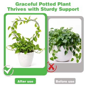 Soporte <span class=keywords><strong>de</strong></span> Plantas en Forma <span class=keywords><strong>de</strong></span> Corazón para Interiores, Poste <span class=keywords><strong>de</strong></span> Soporte para Plantas Verdes, Adecuado para Plantas en Maceta <span class=keywords><strong>de</strong></span> Jardín, <span class=keywords><strong>Hoya</strong></span>, Pothos y Varias Flores - Product Image 4