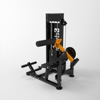 Appareil commercial multifonctionnel à double fonction pour abdominaux et extensions lombaires, idéal pour un renforcement complet du tronc