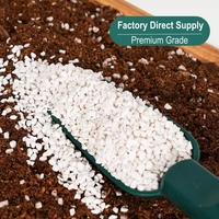 Perlite expansée multi-tailles pour l'horticulture et l'agriculture, granulés pour hydroponie, sol et pépinière
