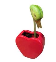 Coffret cadeau écologique avec jardinière en bambou Carte de voeux Fête des mères Cadeau d'anniversaire de pendaison de crémaillère