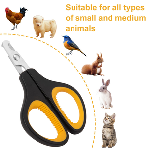 Customized Non-Foldable Stainless Steel Pet Grooming <b>Scissors</b> for <b>Dogs</b> and Cats-Beauty Tool - Product Image 6