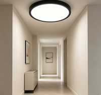 Plafonnier LED 32W étanche IP54 anti-insectes avec température de couleur réglable 3CCT par interrupteur DIP, montage en surface, salle de bain, Ra80, 2600lm