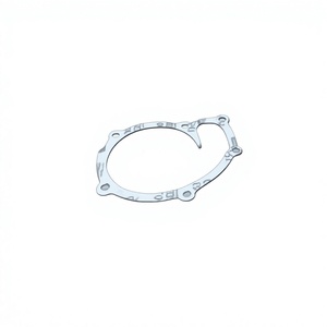Junta de Bomba de Agua Compatible con TATA OEM 278920105301 Xenon Safari Winger 2.2L DiCOR 2179CC 140HP 2005-2020 - Product Image 1