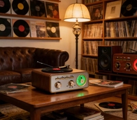 Haut-parleur tourne-disque portable rétro avec radio FM AM SW pleine bande, entrée BT USB TF Card, design vintage pour la maison et l'extérieur