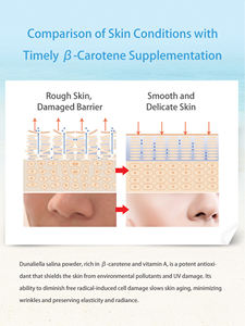 Органический порошок из водорослей Dunaliella Salina для здоровья кожи и защиты желудка, 3% натурального бета-каротина, экстракт водорослей, от производителя - Product Image 4