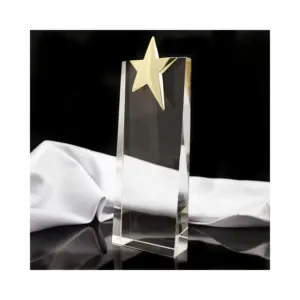 Prix en cristal en forme d'étoile Trophée étoile en verre de cristal pour la gravure Cadeau Paque de cristal vierge - Product Image 1