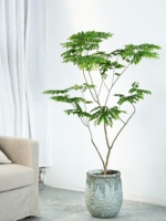 Pot de fleurs en ciment rétro style ferme avec design créatif de grand diamètre pour salon et balcon intérieurs