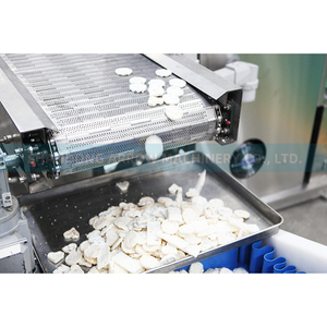 Macchinario Classico per Gallette di Riso in Micropellet e Torte di Grano Soffiato Rotonde - Product Image 4