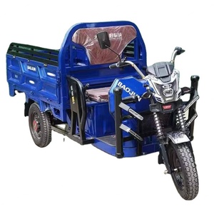 Triciclo de Carga con Motor de Gasolina, Refrigerado por Agua, para Transporte Agrícola - Product Image 1