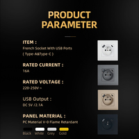 Enchufe USB francés modular con tipo A C 220V Blanco Negro Oro Gris 2P + T Enchufe eléctrico de pared con cargador USB a C