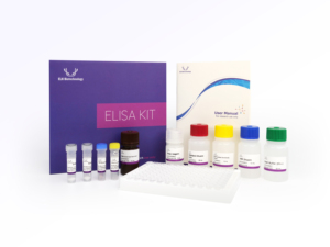 En Çok Satan Yüksek Hassasiyetli ve Spesifik İnsan TSH (Tiroid Stimülasyon Hormonu) ELISA Kiti (Sadece Araştırma Amaçlı) - Product Image 3