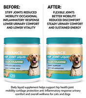 Complément Liquide Avancé pour Articulations (Hanches) de Chats et Chiens Marque Blanche avec Glucosamine, MSM, Anti-inflammatoire, Tous Âges, Sans Céréales