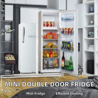 Mini-réfrigérateurs verticaux roses à double porte pour hôtel et maison, système de refroidissement par compresseur, vente chaude, direct usine