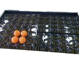 Grosir supermarket 12 24 40 rak buah tiram hitam plastik tampilan buah dapur nampan kompartemen makanan tetap