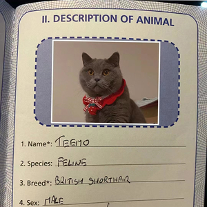 Nuovo Passaporto Personalizzato per Fan, Animali Domestici o Anniversari - Product Image 3