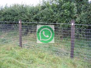 Yuking marca Hebei origen epoxi PVC vinilo recubierto de alambre plano galvanizado en caliente con servicios de corte y doblado - Product Image 4