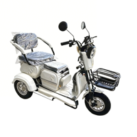 Tricycle électrique à 3 roues pas cher de 1000 W, carrosserie ouverte, haute vitesse, robuste, pour adultes