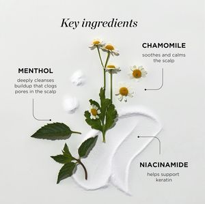 Lance Hair Tonic <span class=keywords><strong>Spray</strong></span> de marque privée anti-chute de <span class=keywords><strong>cheveux</strong></span> pour la croissance des <span class=keywords><strong>cheveux</strong></span> Ingrédients à base de plantes <span class=keywords><strong>Spray</strong></span> de soin du cuir chevelu - Product Image 3