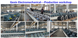 Moteur asynchrone industriel Gexin YE3-132S1-2 5,5 kW 7,5 CV IE3 IP55 fermé 3000 tr/min Triphasé 380 V 50/60 Hz Isolation F - Product Image 5