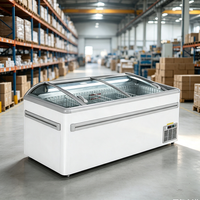 Directo de Fábrica, Refrigerador Comercial de 530L, de Una Sola Temperatura, Certificado ETL, 2 Puertas, Control Digital, Exhibidor Curvo Tipo Isla para Supermercado