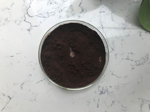 中国工場が高品質のチャガエキスを提供 - Product Image 2