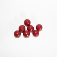 Balle en acier revêtue de plastique PP ABS POM haute résistance Cal.68 Cal.50 Cal.43 pour l'entraînement au tir