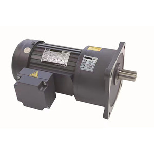 Motor de CA Pequeño (con Freno) con Caja de Engranajes 220V 380V CA Trifásico Monofásico, Reductor de Velocidad con Motor Engranado - Product Image 4