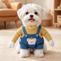 Costume de transformation amusant pour petits chiens, design dinosaure 3D, style dessin animé, chaud pour l'hiver, en polyester lavable, cosplay