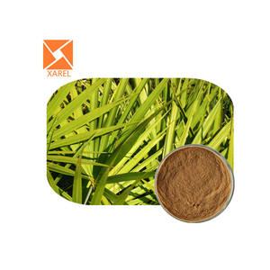 Fornitura di Estratto in Polvere di Frutto di Serenoa Repens Saw Palmetto di Alta Qualità al Miglior Prezzo 10:1 - Product Image 1