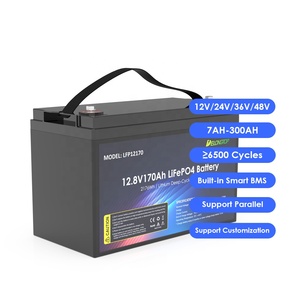 Batería de Litio LFP12170 de Ciclo Profundo para Almacenamiento de Energía, 12V 170Ah, para Barcos, Pesca y Uso Marino, Marca Delong, en Stock de Fábrica - Product Image 1