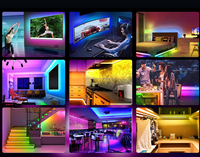 Meilleure vente Dream Color Magic USB 5V 5mm 2m 28W RGBIC COB Led Strip Kits For Ambient Light