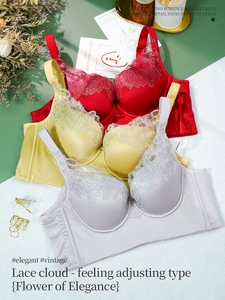 Nuevo Conjunto de Lencería de Encaje Popular para Mujer, Hermoso Conjunto de Ropa Interior y Bragas con Lazos - Product Image 2