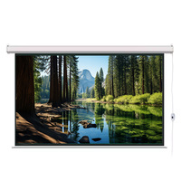 Écran de projection électrique HTP, modèle ELC 01, blanc mat, 72-150 pouces, portable, pour usage professionnel, prix direct grossiste