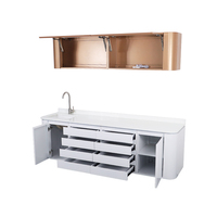 Meubles de rangement modulaires pour clinique, armoire dentaire