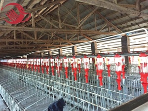 Peralatan Pertanian Babi Galvanis Peti Kehamilan/Kios untuk Babi - Product Image 3