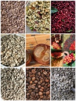Machine à décortiquer les grains de café manuelle, petite taille, prix de gros, pour l'Afrique